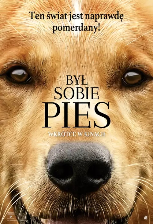 "Był sobie pies" - 12 sierpnia - środa, godz. 12:00